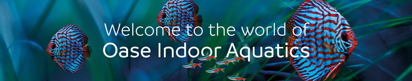 Master Your Underwater World